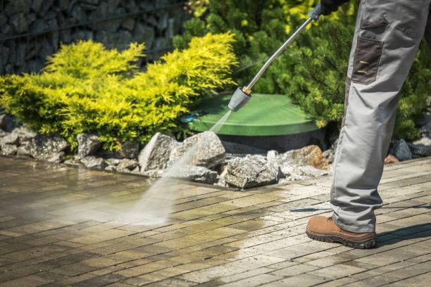 Best Driveway Pressure Washing  in West Portsmouth, OH