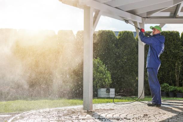 Best Spring Cleaning  in West Portsmouth, OH